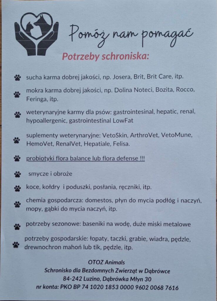 lista potrzeb dla schroniska